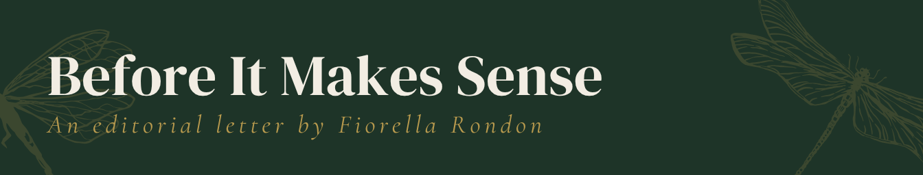 Before It Makes Sense — An editorial letter by Fiorella Rondon